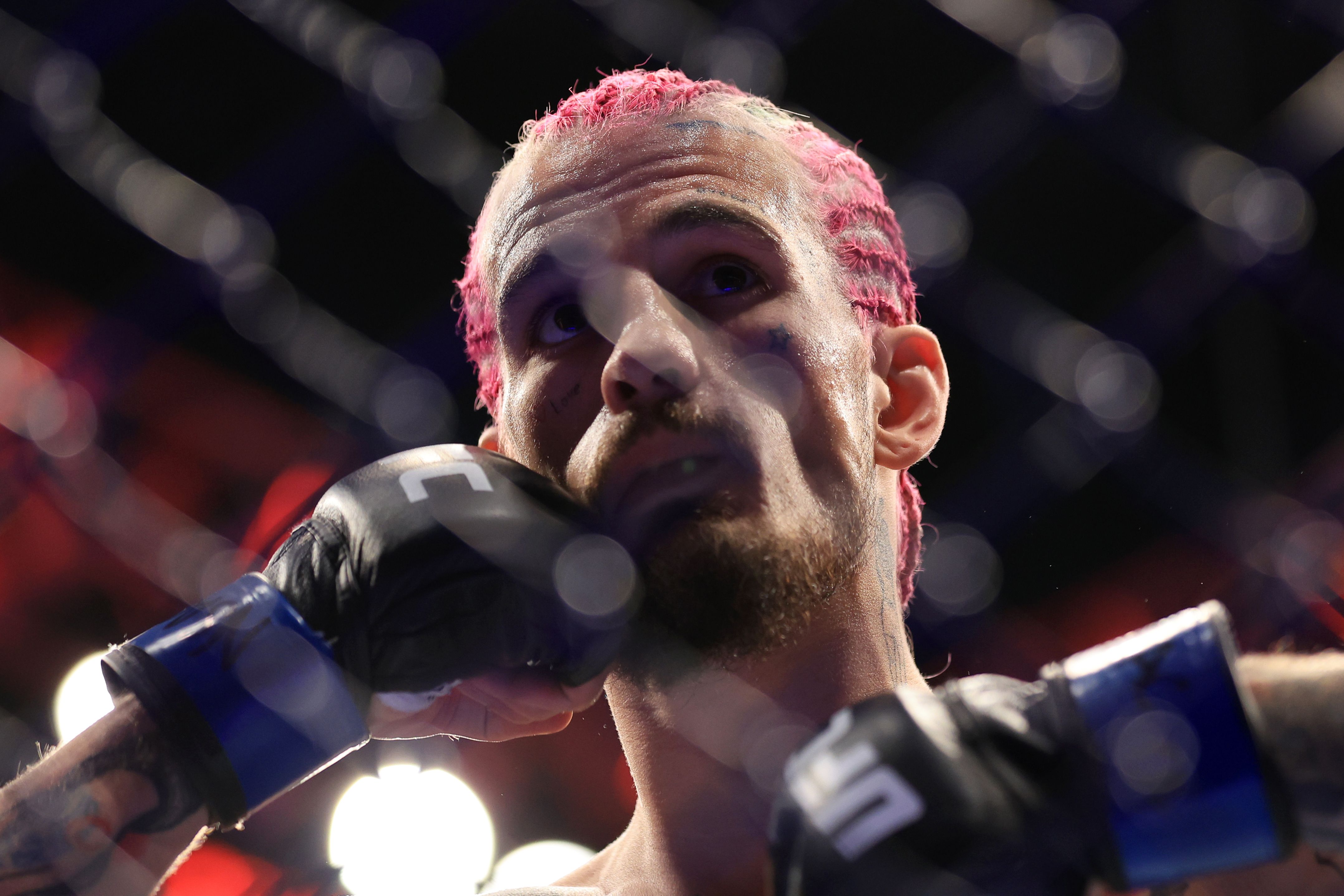 Шон О'Мэлли дал жесткий совет бойцам на фоне финансового скандала в UFC
