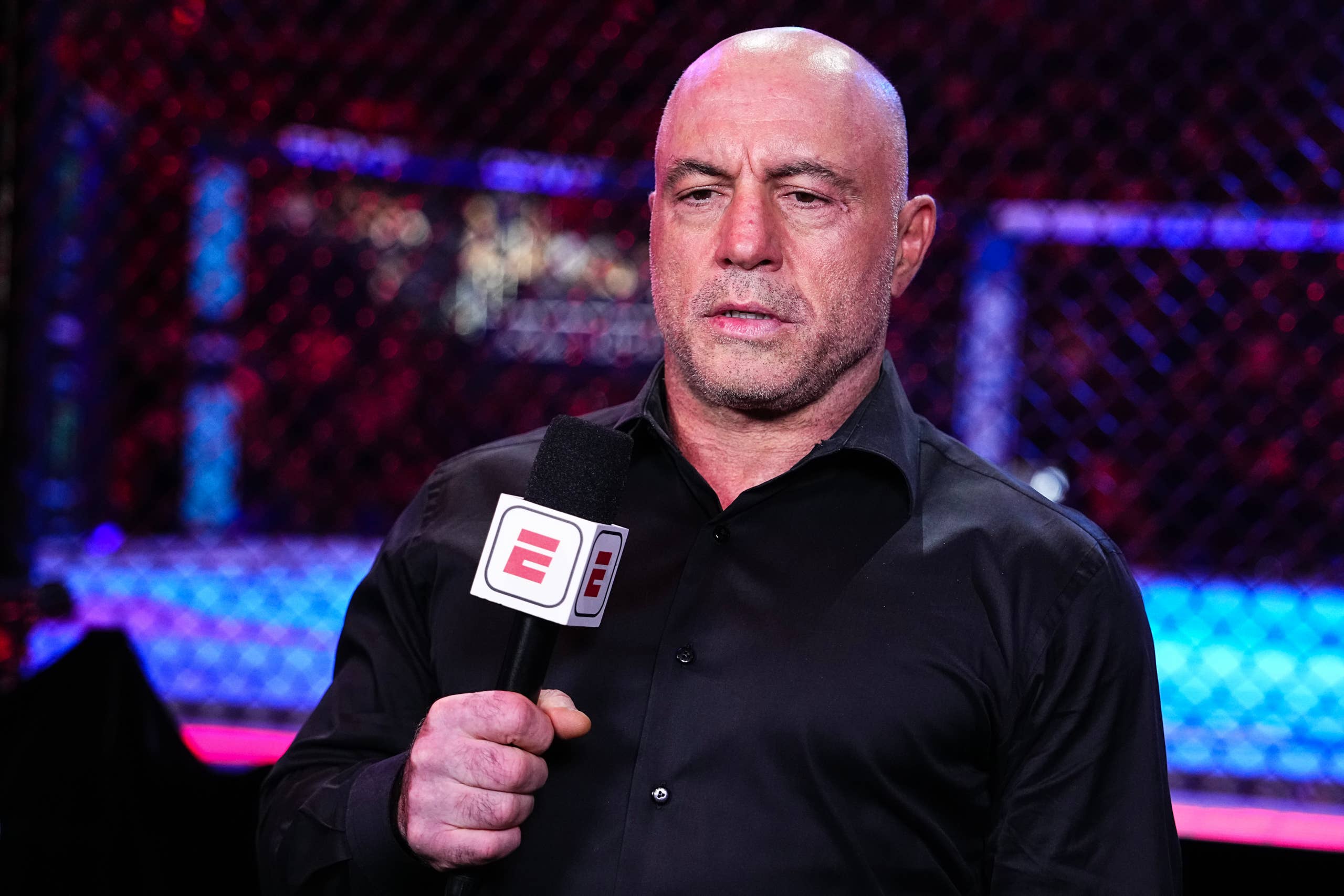 Джо Роган раскритиковал решение UFC об увольнении Фарида Башарата