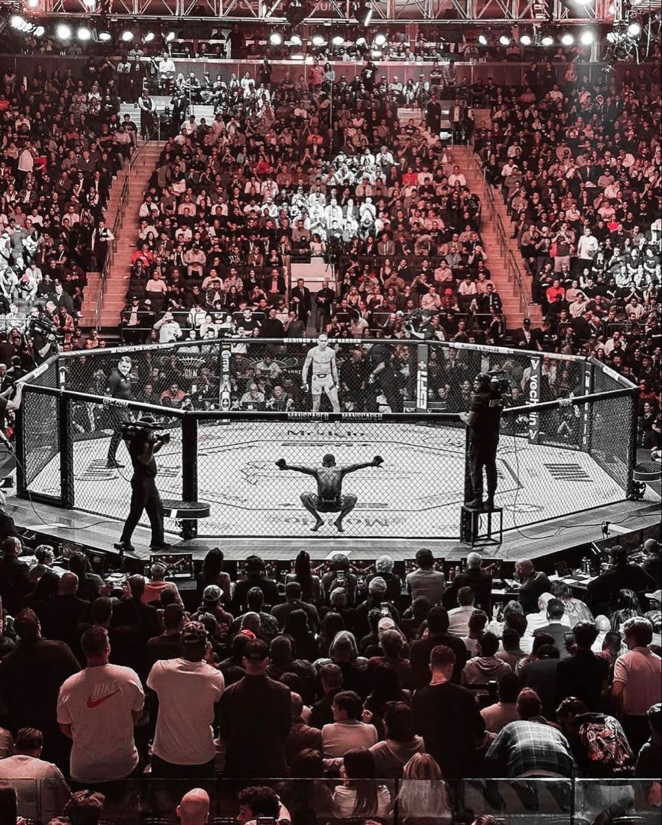 Что ждет героев турнира: главные бои после UFC 333
