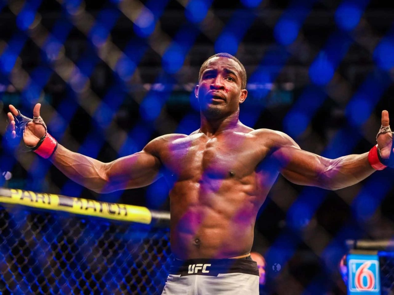 Что ждет героев UFC 333: кого должны повить следующие соперники?